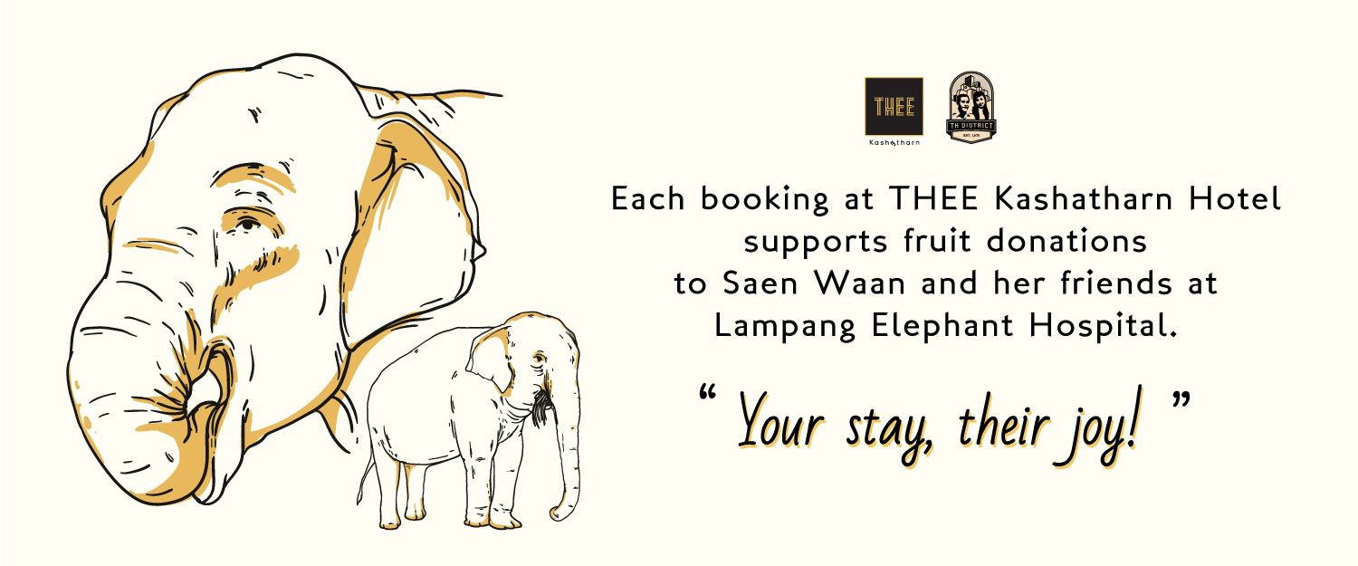 Each booking at Thee Kashatharn hotel supports fruit donaions to Saen Waan and her friends at Lampang Elephant Hospital